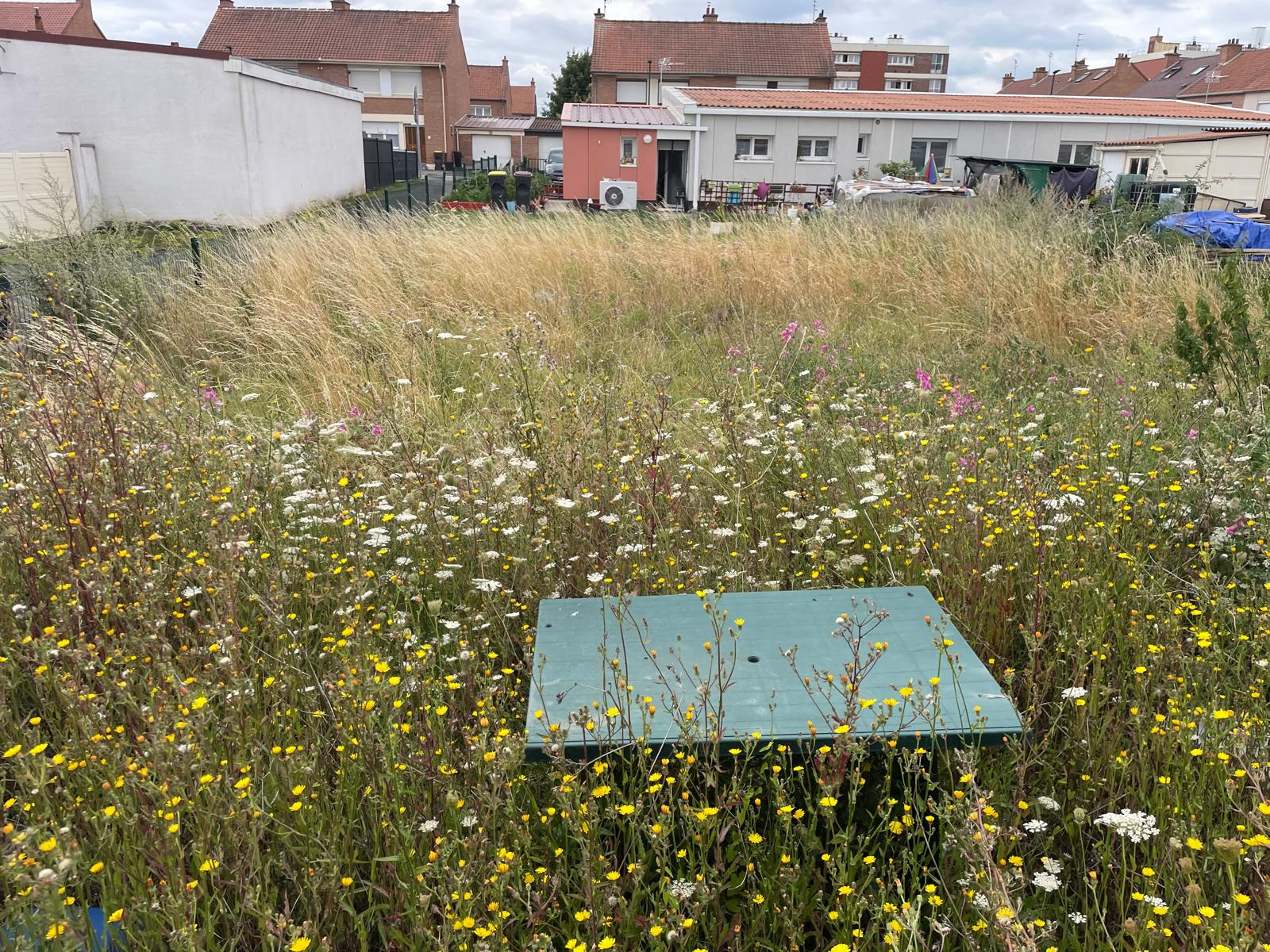 Comment déployer une flotte de robots dans un grand parc immobilier ?